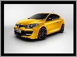 Renault Megane R.S. Hatchback III Coupe, 2013 - 2015