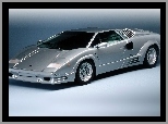 Anniversary, Lamborghini Countach, 25th