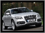 Audi Q5, Grill, Przód, Duży